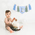 Agkvw 1st 1st One Funny Goose High Chair Banner for Boys - Goose Theme Birthday Decorations, Blue Gingham Style