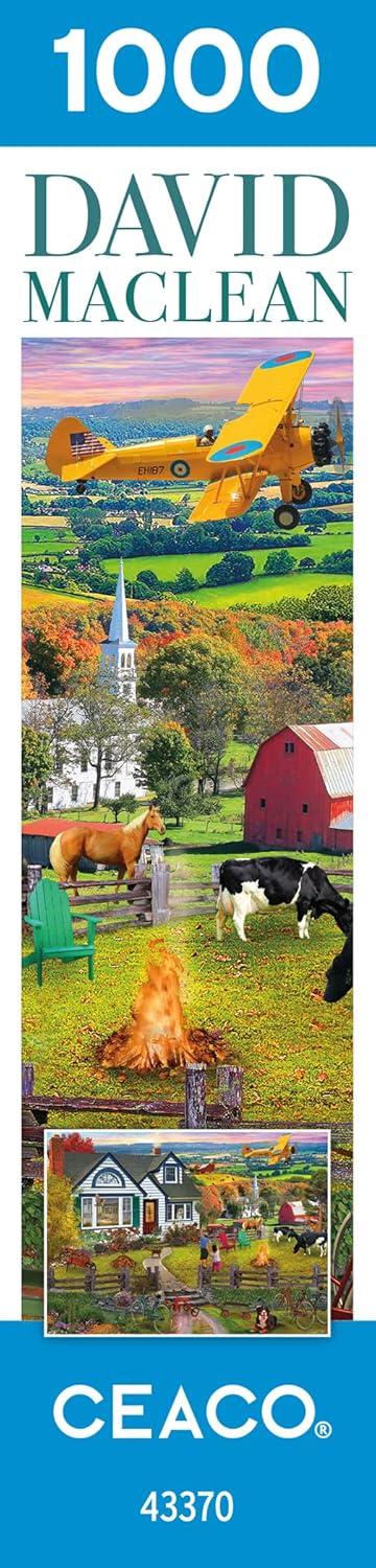 Ceaco David MacLean The Fly by, 1000 Piece Jigsaw Puzzle
