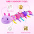 Baby Toy for 0-12 Months, Musical Stuffed Animal with Crinkle, Rattle & Textures - Caterpillar, Purple Birthday Gift