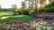 500 Piece Masters Championship National Golf Course Landscape Jigsaw Puzzles for Adults, Educational Toy for Kids