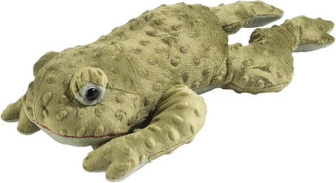 Sonoma Lavender Microwaveable Aromatherapy Pillow, Plush Freddy The Eucalyptus Tree Frog, Eucalyptus