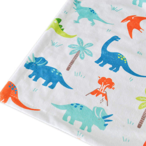 HOMRITAR Baby Blanket for Kids, Super Soft Minky Blanket with Dotted Backing, Dinosaurs Multicolor Printed for Toddlers