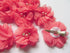 YYCRAFT Baby Girls Chiffon Flower Hair Clips with Rhinestones and Pearl, 10 pcs Coral Hair Accessory for Kids