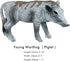 Playset 3-Piece FUNSHOWCASE African Jungle Animals Toy Warthogs Figure Realistic Plastic Figurine Lot