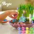Bryte Light Up Unicorn Terrarium Kit for Kids - Grow Plant, Castle, Paint Set, Fairy Garden Lights, Arts & Crafts