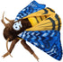 FRANKIEZHOU Simulation Death's Head Hawk Moth Stuffed Animal, Blue 25" Lifelike Plush Toy for Kids
