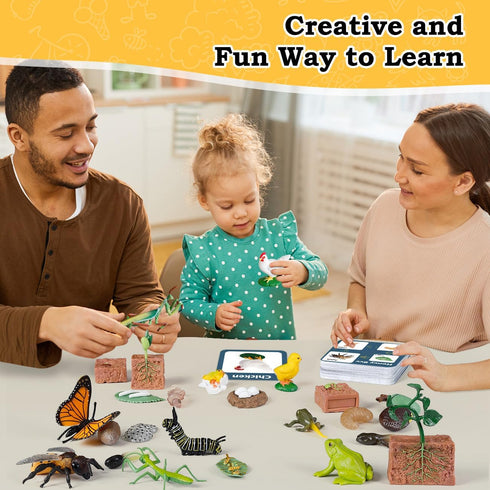 Life Cycle Learning Toys for Kids - Life Science Education Kits with 25 Pieces Animal Figurines: Butterfly, Frog,