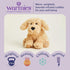 warmies Microwavable & Weighted Stuffed Animals, Golden Dog - Heated Stuffed Animal Plushie for Warmth & Comfort - Cute