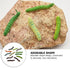 24Pcs Simulation Caterpillar Plastic Fake Worm Crawling Halloween Prank Toy, Educational Learning Toys for Kids