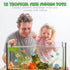 12PCS Tropical Fish Toys, Educational Ocean Animal Figures Set, Miniature Toys for Boys and Girls, Themed Party Favor