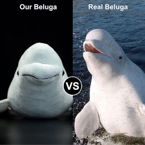 ZHONGXIN MADE 16Inches Simulation White Beluga Whale Plush Toy - Long Lifelike Delphinapterus leucas Doll Whale Stuffed