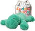 Weighted Dinosaur Stuffed Animal, 20'' Plush Dino for Sensory Needs, 3lbs Weighted Stuffed Animal, Green