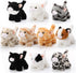 Lenwen 10 Pcs Cat Stuffed Animals Bulk, Soft Cuddly Kitten Plush Sets, Assorted Fluffy Stuffed Cats for Kids Birthday