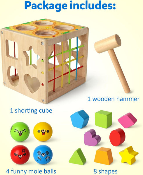 18 Coogam Wooden Montessori Toys for Toddlers, Shape Sorting Cube Fine Motor Skills Game for Year Old Month+ Baby Boys