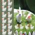 Pack of 36 Tiny Ducks, Little Plastic Mini Resin Ducks for Garden Decorations, Dollhouse Miniatures, Crafts