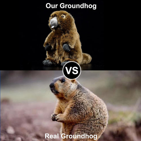 ZHONGXIN MADE 10Inches Simulation Groundhog Plush Toy - Cute Real Life Greedy Groundhog Simulation Plush Toys, Lifelike