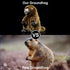 ZHONGXIN MADE 10Inches Simulation Groundhog Plush Toy - Cute Real Life Greedy Groundhog Simulation Plush Toys, Lifelike