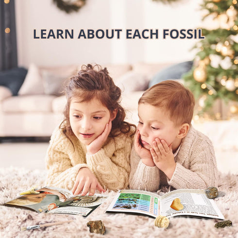 Byncceh Mega Fossil Dig Kit - Excavate 12 Prehistoric Fossils, Educational STEM Science Toys for Kids