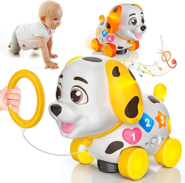 Baby Toys 6-12 Month, 1st First Birthday Gift for 1 Year Old