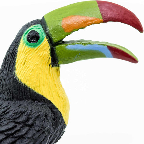 2.75" 3+ Safari Ltd. Toucan Figurine - Lifelike Bird Figure - Educational Toy for Boys, Girls, and Kids Ages