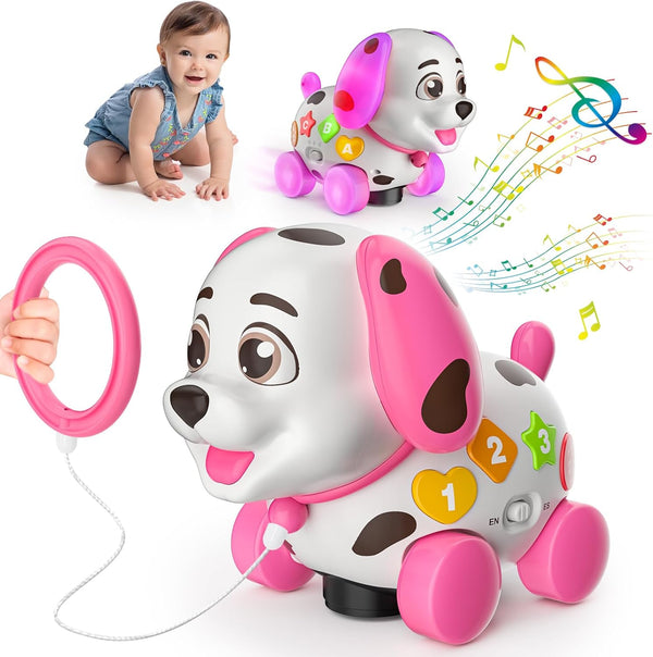 Zardali Musical Baby Toys 6-12 Months, 1st Birthday Girl Gifts for One Year