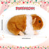 2 Pieces 8 Inch Cute Guinea Pig Plush Toys Stuffed Realistic Stuffed Animals Soft Guinea Pig Doll Toys Decor for Boys Girl Themed Party Supplies (Black, Yellow)