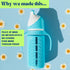 Set 2 8 oz Tabor Place of - Glass Sippy Cup for Toddlers - The Luca | Spill-Proof | Silicone Straw | Mint Green
