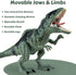 3-5 5-7, Giganotosaurus Dinosaur Toys for Kids & Dinosaur Action Figure Toys with Attack Feature, Sound, Roar & Light