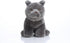 Lifelike British Shorthair Cat Plush Stuffed Animal Toy British Shorthair Cat Animal Model 32cm