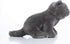 Lifelike British Shorthair Cat Plush Stuffed Animal Toy - British Shorthair Cat Model 32cm