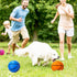 Dshengoo 12 Pcs 5 Inch Mini Basketballs, Colorful Rubber Inflatable Balls with Pump for Indoor Games