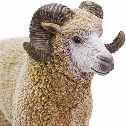 3.5" 1+ Safari Ltd. Ram Figurine - Lifelike Model Figure - Educational Toy for Boys, Girls, and Kids Ages