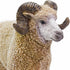 3.5" 1+ Safari Ltd. Ram Figurine - Lifelike Model Figure - Educational Toy for Boys, Girls, and Kids Ages