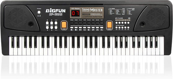 LeeQee Digital Keyboard Piano for Kids - 61 Keys Multifunction Electric Piano with Microphone for Ages 3-12 (Black)