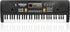 LeeQee Digital Keyboard Piano for Kids - 61 Keys Multifunction Electric Piano with Microphone for Ages 3-12 (Black)