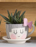 Set 4-8 6 Sets Fun Express Paint Your Own Ceramic Tea for Girls - DIY Teacup Planter Kit with Saucer Makes | Kids Tea
