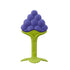 Innobaby Original Teethin Smart EZ Grip Fruit Teether and Sensory Toy for Babies, Grape, BPA Free