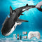 2.4GHz Remote Control Shark Toy for Pool, 1:18 Scale High Simulation RC