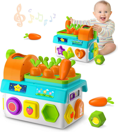 Musical SortingToys for 1 Year Old Boy, 1st First Birthday Boy Girl