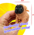 JA-RU Dress-Up Pets with Animal Costume Squishy Fidget Toys (1 Animal Pack), Stretchy Stress Relief Toys for Kids