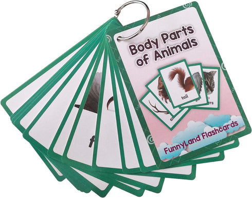 12PCS/Set Animals Body Parts Kids Gifts - English Flash Cards Pocket Card Educational Learning Toys