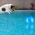 Sotiff 2 Pcs Colorful 8.5 Inch Marbleized Bouncy Balls - Inflatable Balls for Adults Pet Party Supplies