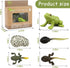 Mbrain5pcs Frog Growth Cycle with Flash Cards, Life Cycle Learning Montessori Toys for 3-7 Year Olds