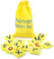 Educational Insights Alphabet Beanbags - ABC Learning Toys for Kids Ages 3-5,