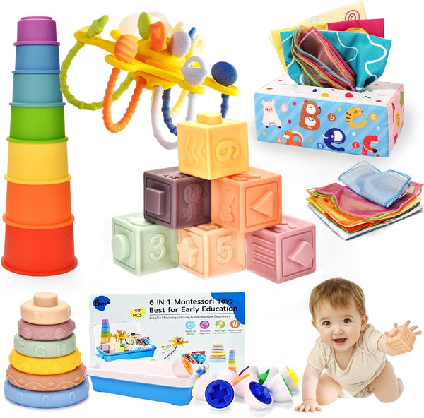 Dazhshun Baby Toys 6-12 Months,Montessori Toys for 6-9-12 Month old,6-in-1 Sensory Toys Stacking