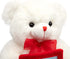 HollyHOME Teddy Bear Stuffed Animal Plush Bear - 12 Inches White with Red Bow - Christmas Valentine's Day Gift