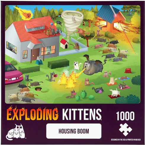 Housing Boom (1000)