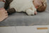 Copper Pearl Premium Knit Changing Pad Cover : Soft, Stylish, and Universal Fit for All Standard Diaper Changing Pads