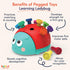 Battat Education Fine Motor Peg Toy for Toddlers, Montessori Educational Developmental Toy - Learning Ladybug