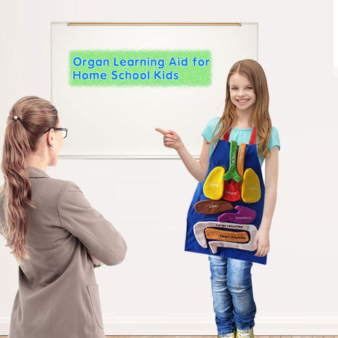 3D Organ Apron, Human Body Organs Awareness Educational Toy for Kids, Anatomy Costume Apron Model